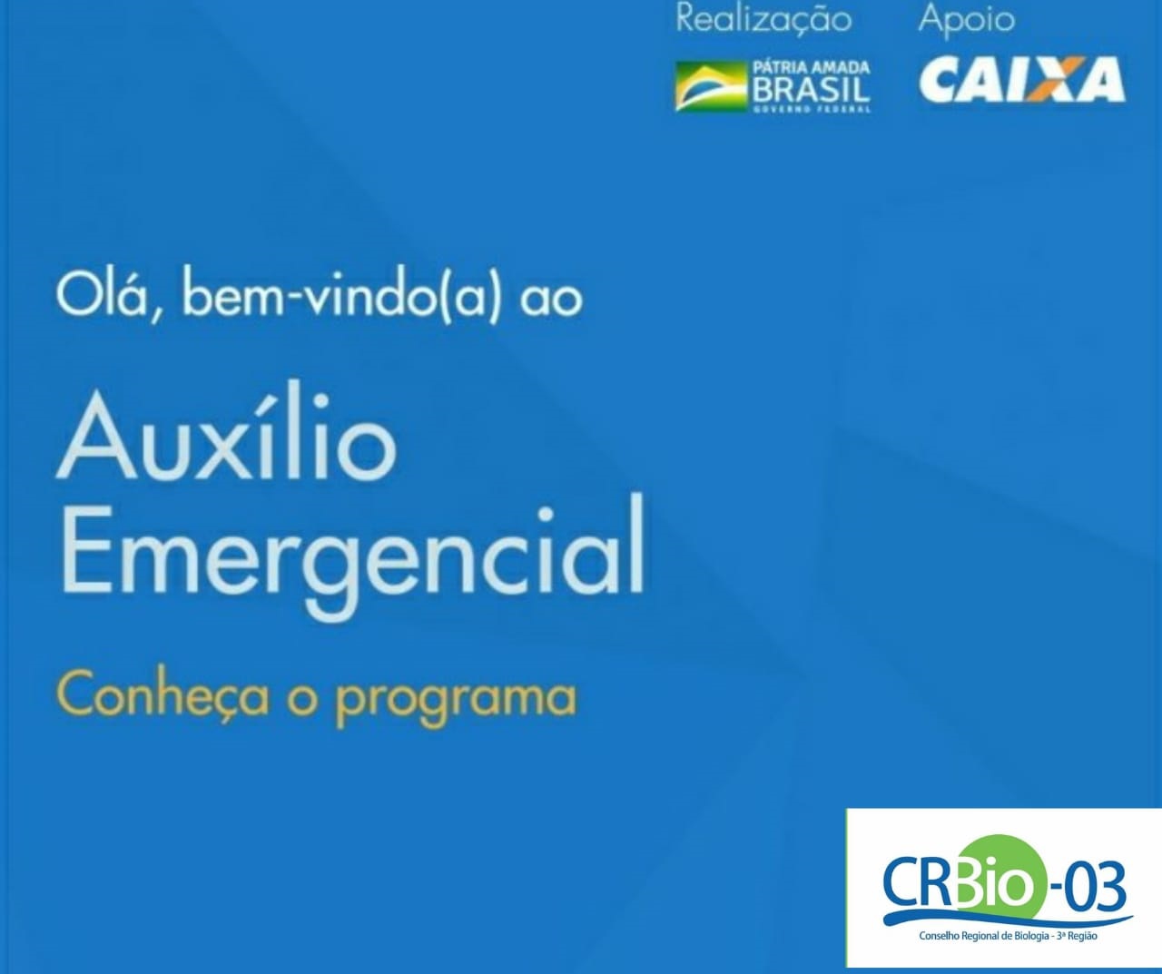 CRBio-03 - Conselho Regional de Biologia 3ª Região - O REDD (Redução das  Emissões por Desmatamento e Degradação florestal) ou, em inglês, Reducing  Emissions from Deforestation é um conjunto de incentivos econômicos